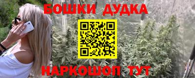 спиды Сланцы