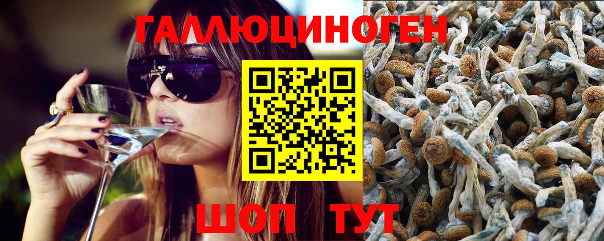 Псилоцибиновые грибы Magic Shrooms  Псилоцибиновые грибы прущие грибы  Аша  Вход с VPN 
