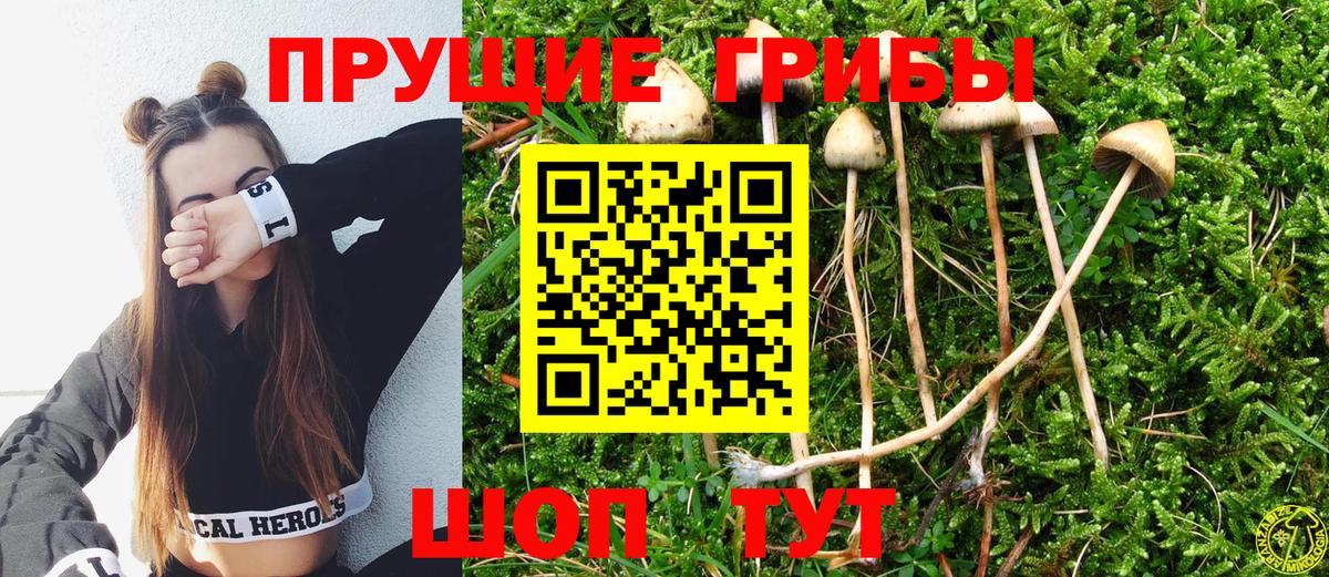 Галлюциногенные грибы MAGIC MUSHROOMS Аша