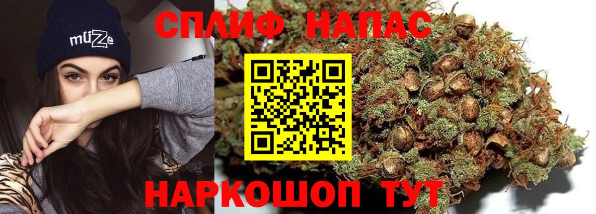 Каннабис тримм  Канабис марихуана  Бошки Шишки VHQ  Аша  Вход с VPN 